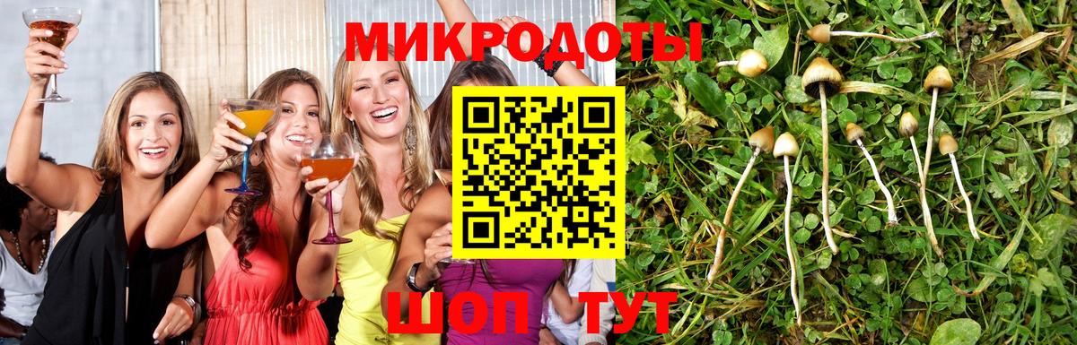 Галлюциногенные грибы Cubensis Благодарный