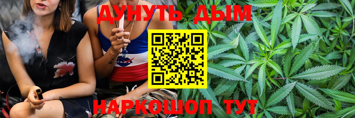 Каннабис семена  Вход с VPN  Благодарный  Бошки марихуана THC 21%  Каннабис план  МАРИХУАНА ГИДРОПОН 